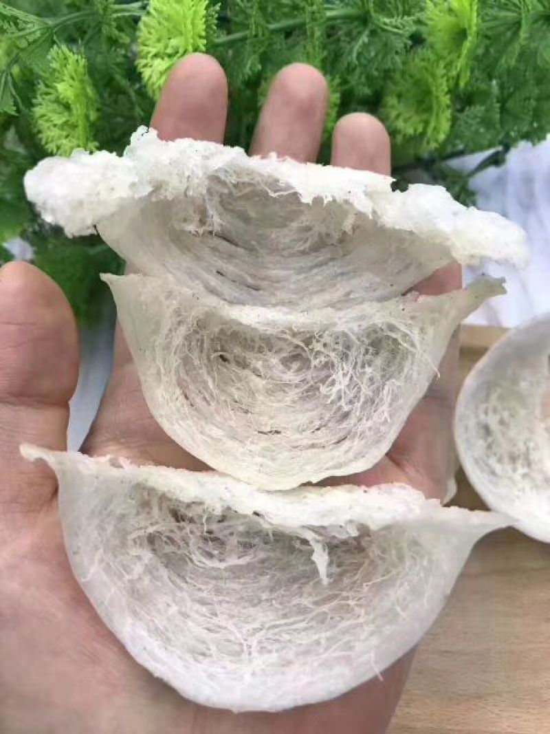 燕窝燕窝全干挑半干挑三角燕碎全系