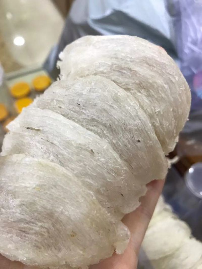 燕窝全干挑半干挑疏盏燕碎不刷胶不粘底座