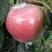 红露苹果冰糖心膜袋红露苹果大量供应价格稳定