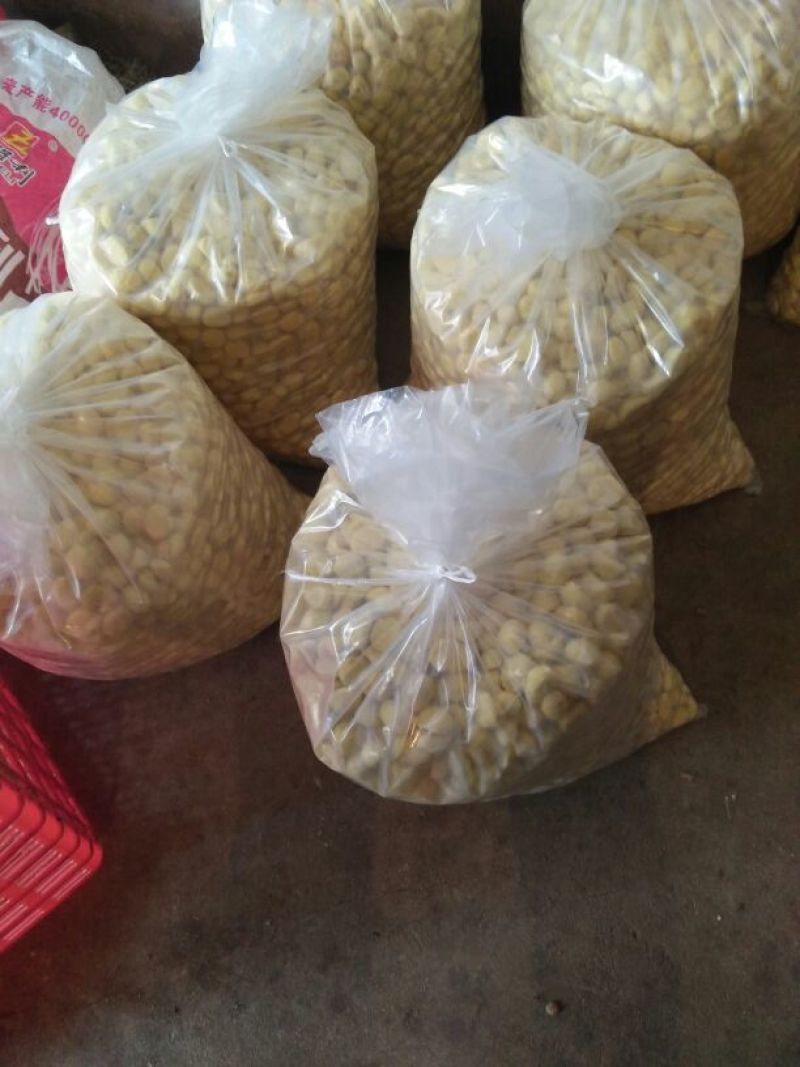 罗田板栗菜栗种中栗