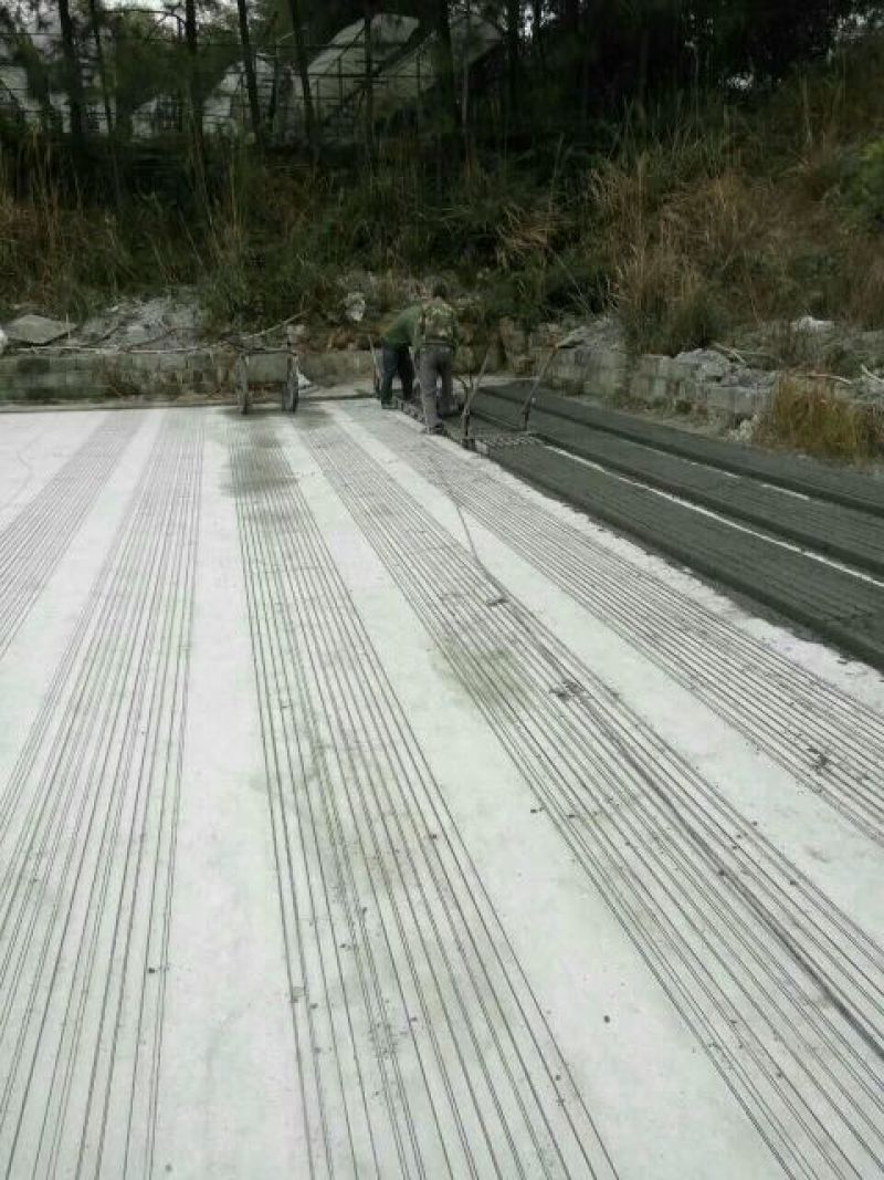 葡萄水泥柱专业搭百香果架