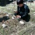 羊肚菌中上通货