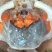 青蟹4-6两/只红膏蟹红鲟母蟹肉质鲜美