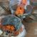 青蟹4-6两/只红膏蟹红鲟母蟹肉质鲜美