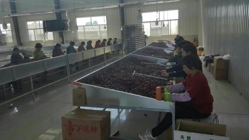 网络产品新疆和田大枣厂家直供货源充足欢迎选购