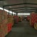 网络产品新疆和田大枣厂家直供货源充足欢迎选购