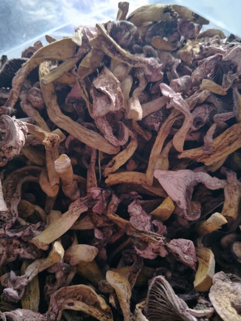 红蘑、松树伞、铆钉菇、肉蘑