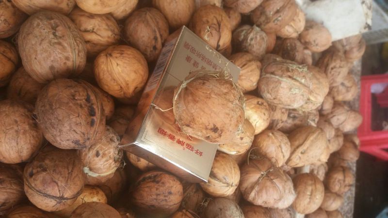 核桃去皮30~35mm干