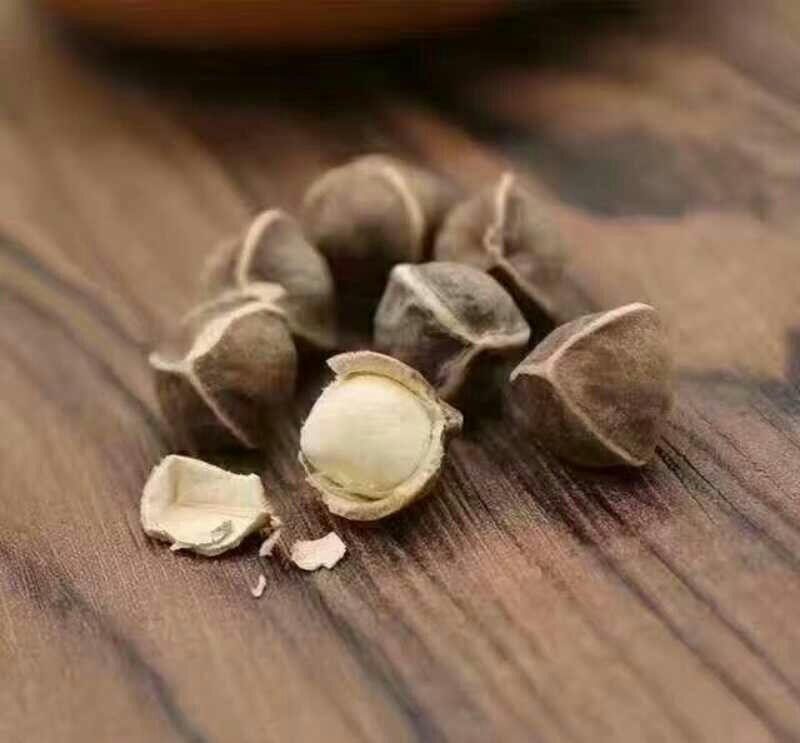 辣木籽干货大粒2斤起包邮量大从优