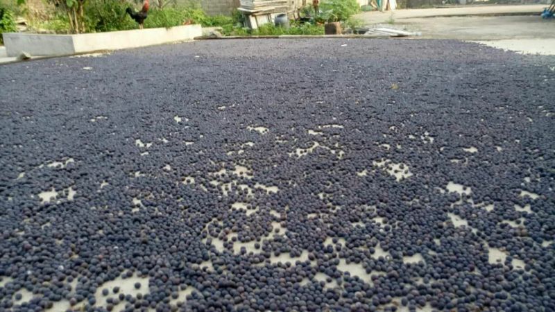 铁莲子特级干莲子