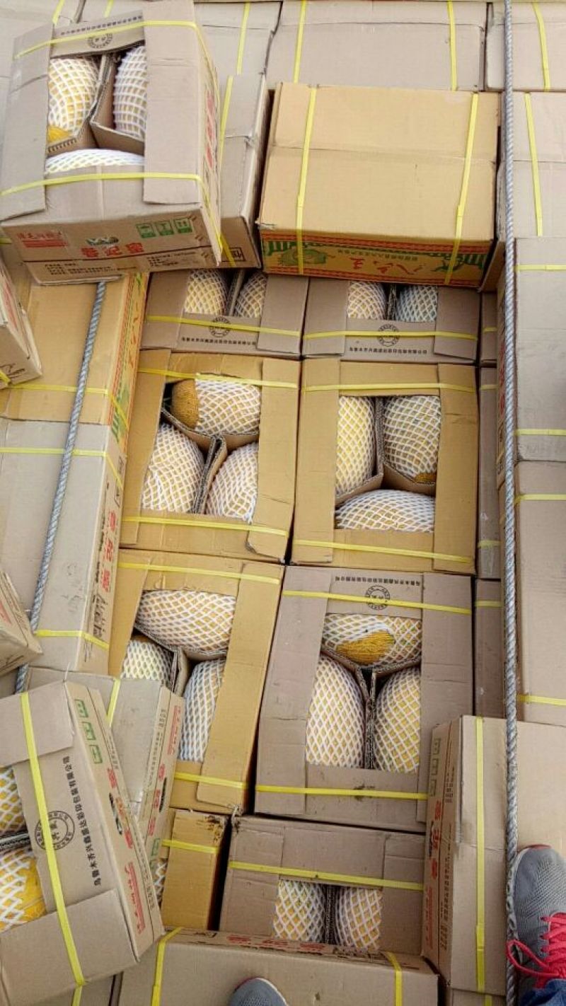 86王哈密瓜5斤以上椭圆形