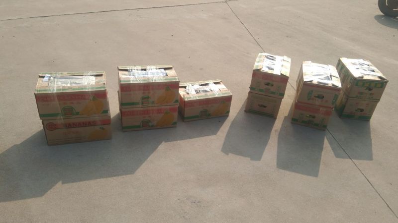 现货东烟台无花果布兰瑞克新鲜水果秋果无花果7月上市现摘