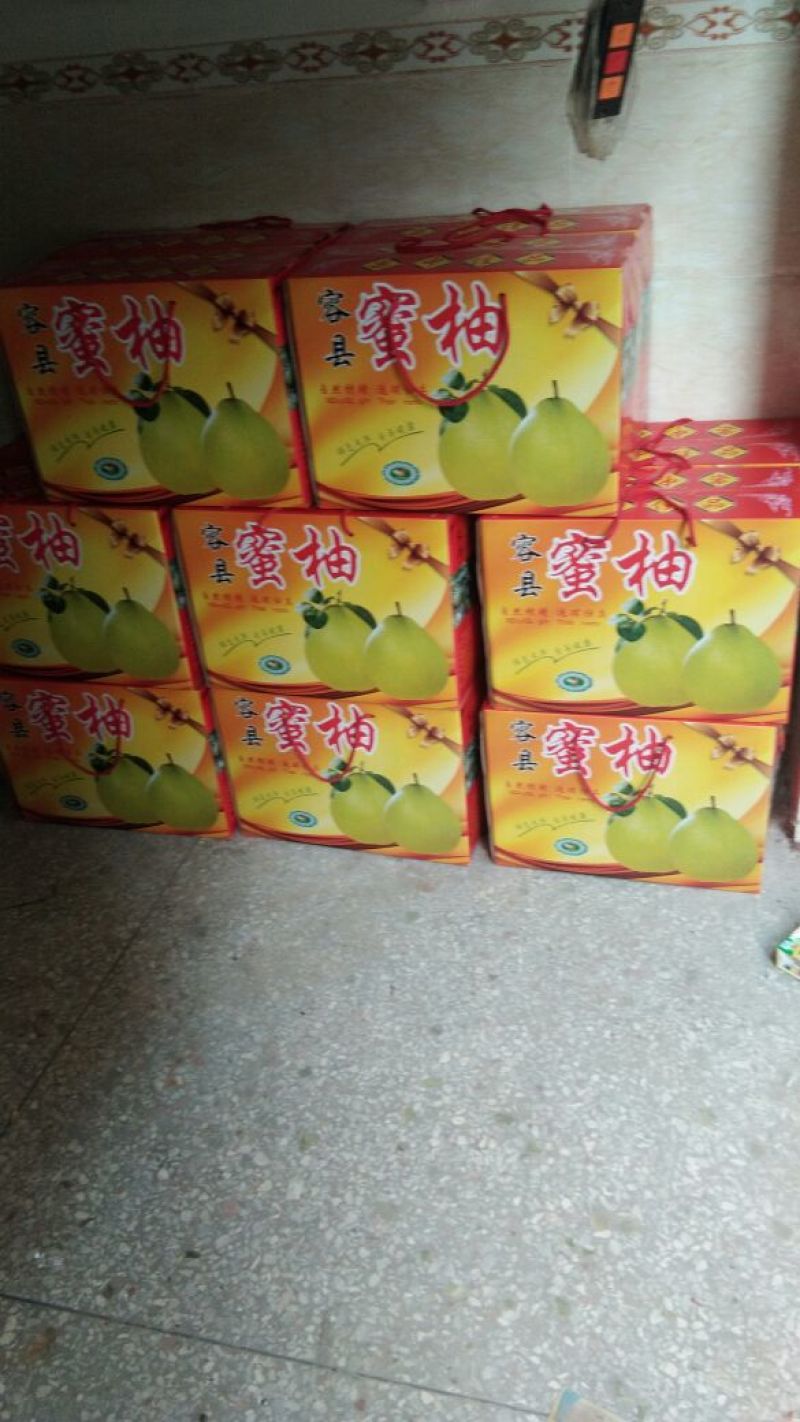 新鲜蜜柚红心单果2.2斤以上自产自销可一件代发