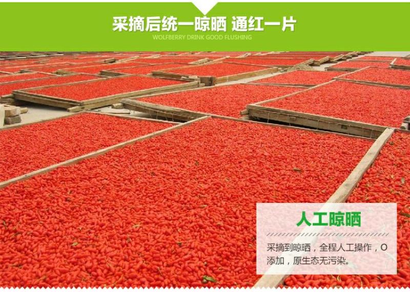 红枸杞干货头茬
