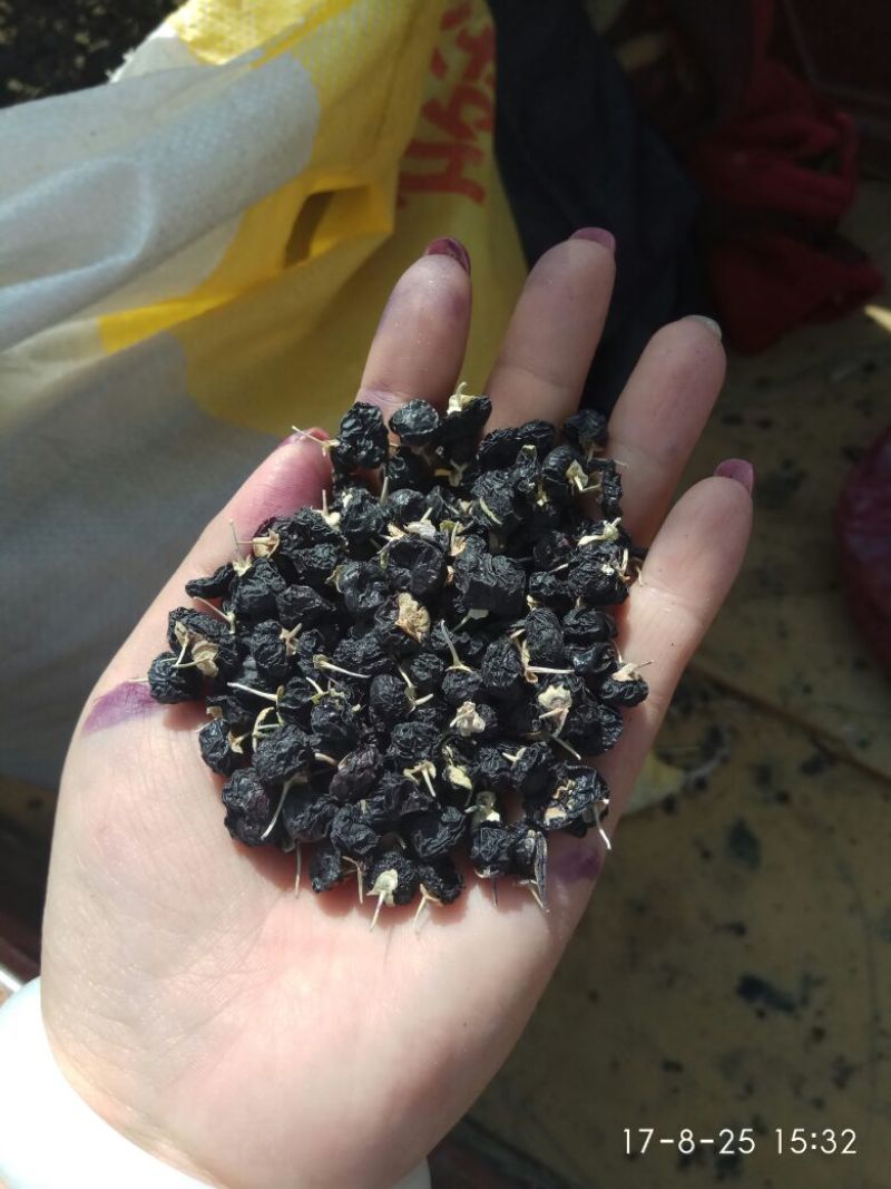 黑枸杞干货头茬