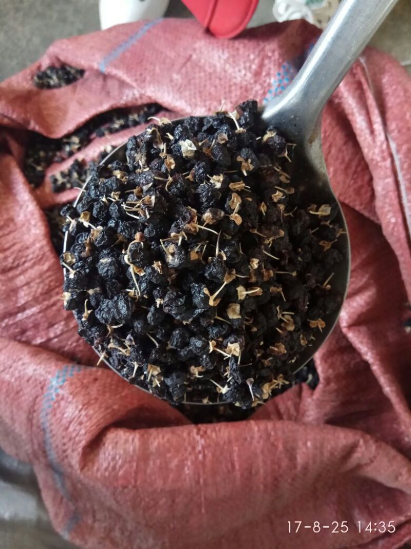 黑枸杞干货头茬