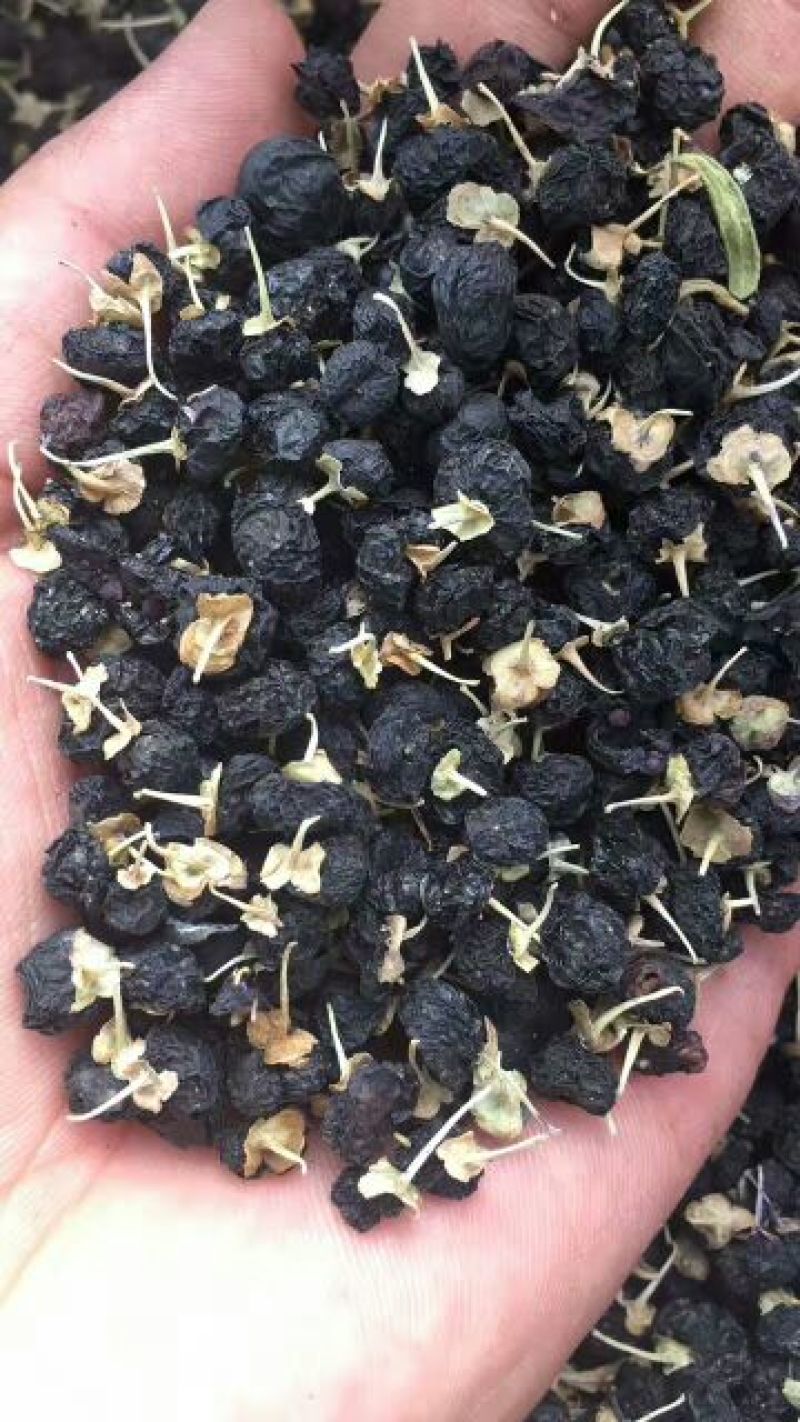 黑枸杞干货头茬