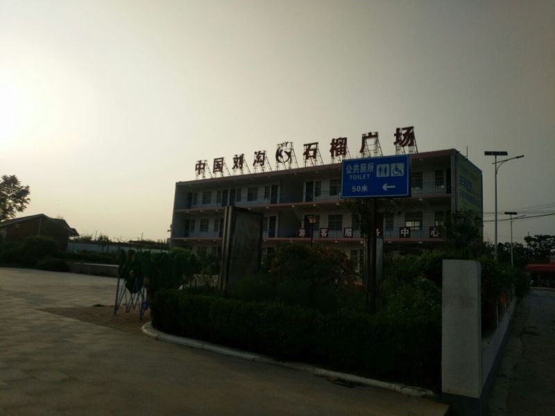 突尼斯软籽石榴树苗嫁接4年苗规格3公分以上