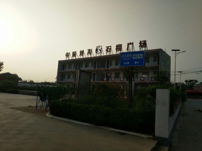 石榴苗突尼斯软子石榴树苗当年可结果产量