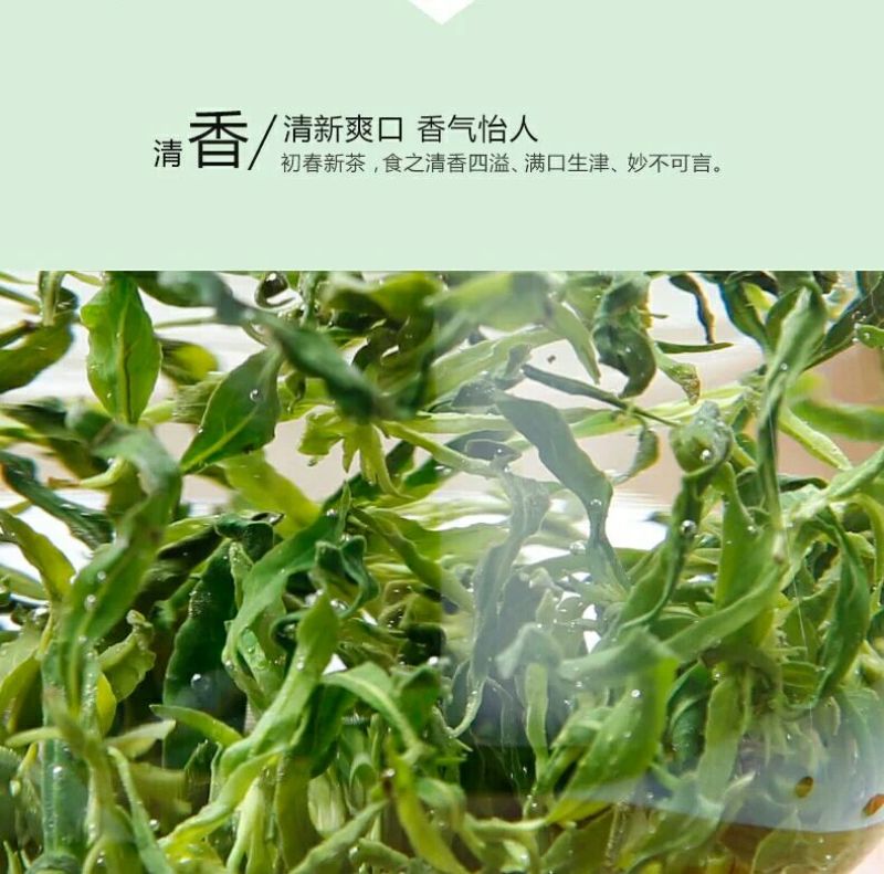 枸杞叶茶包邮