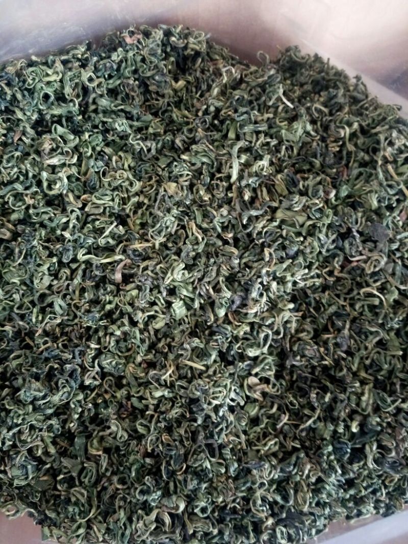 枸杞叶茶包邮