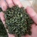 枸杞叶茶包邮