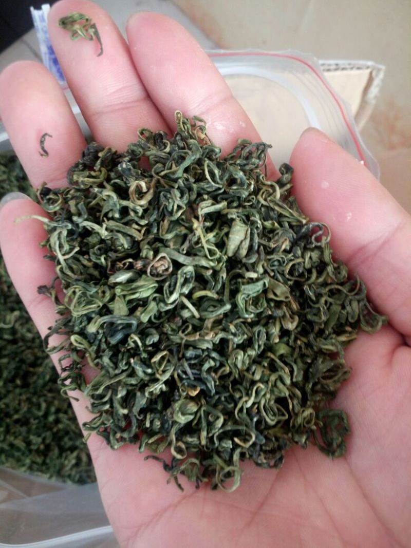 枸杞叶茶包邮