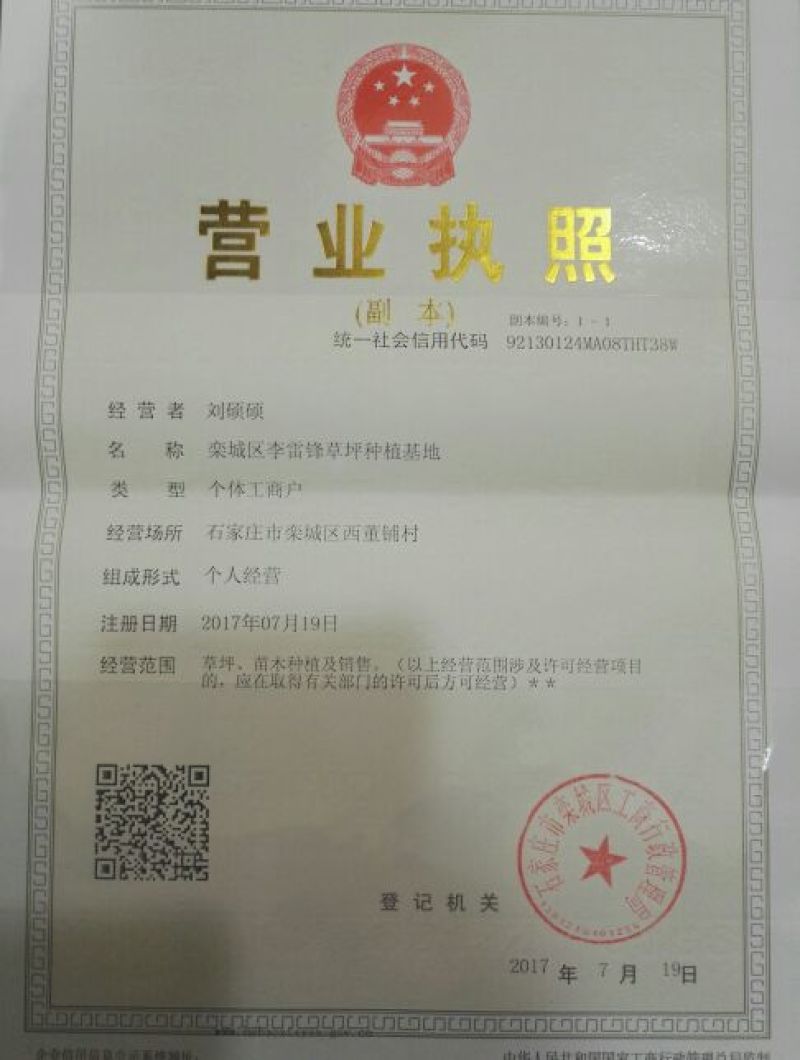 草皮