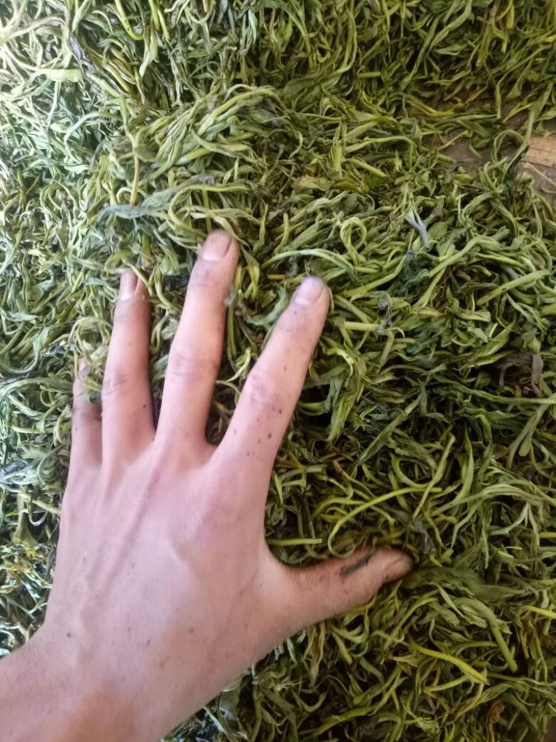 普洱茶二级