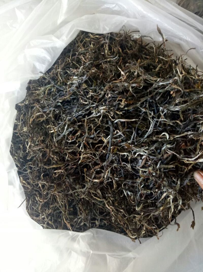 普洱茶二级