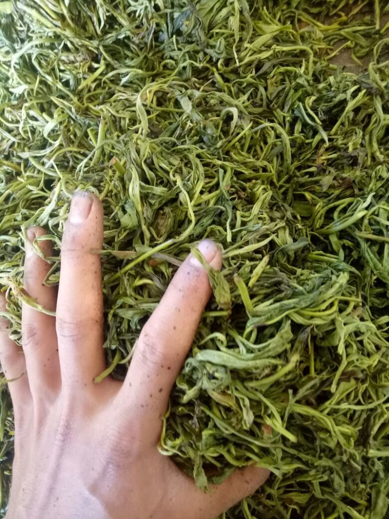 普洱茶二级