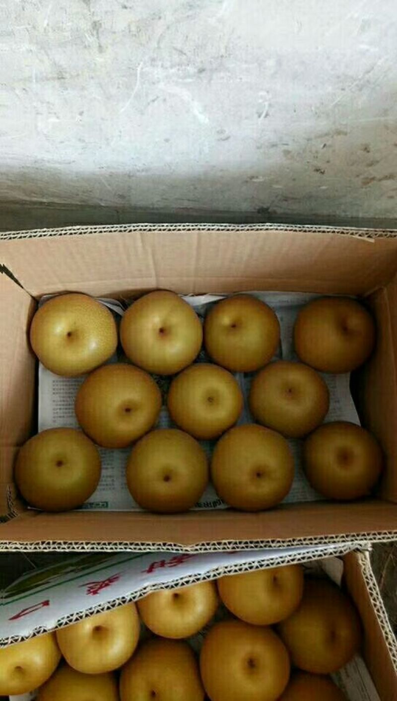 黄冠梨，