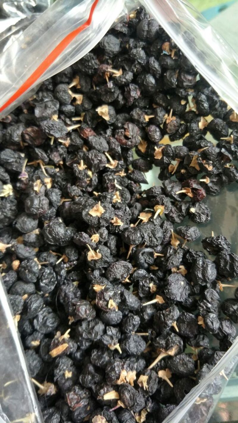 黑枸杞干货头茬