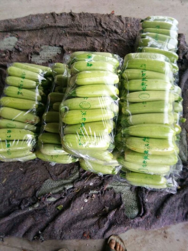 天天精品葫芦质量不错