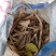 白芍生狗头片
