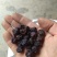 野生乌梅——乌梅汤药食两用