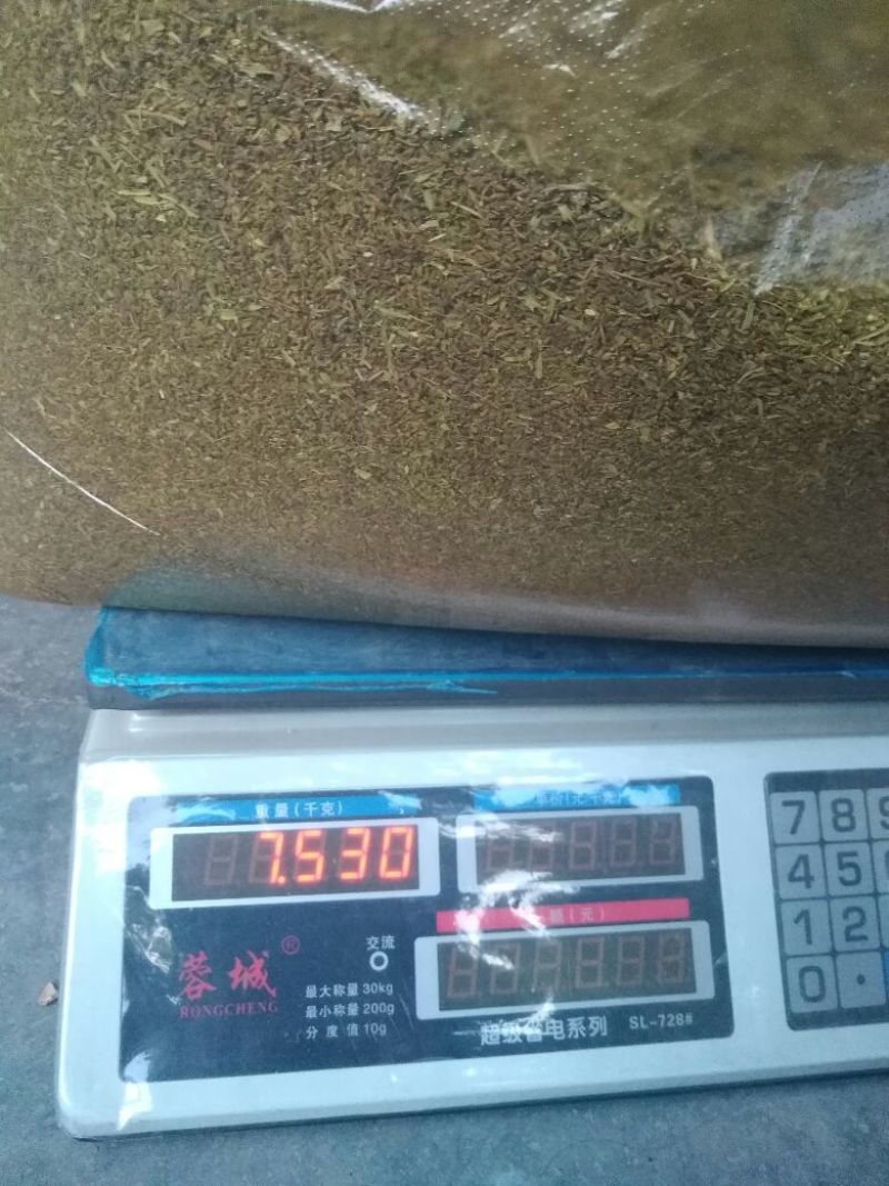 本地传统特色中药材种子～北柴胡种子