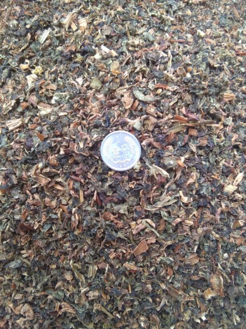 干黄菜