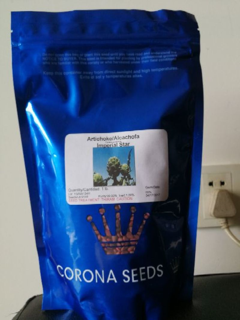 特种蔬菜—朝鲜蓟（洋蓟）进口品种，多年生