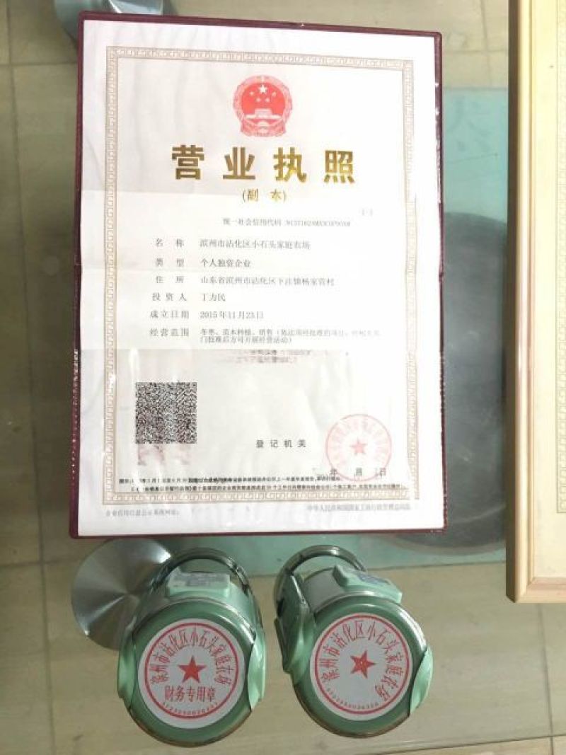 沾化冬枣拐一