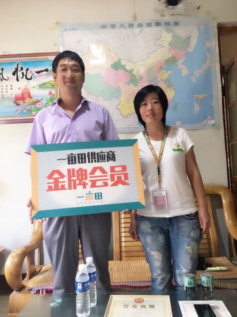 沾化冬枣拐一