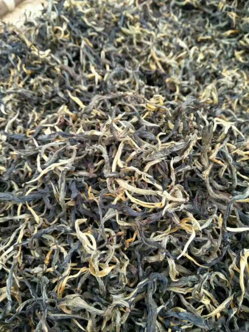 晒红茶一级