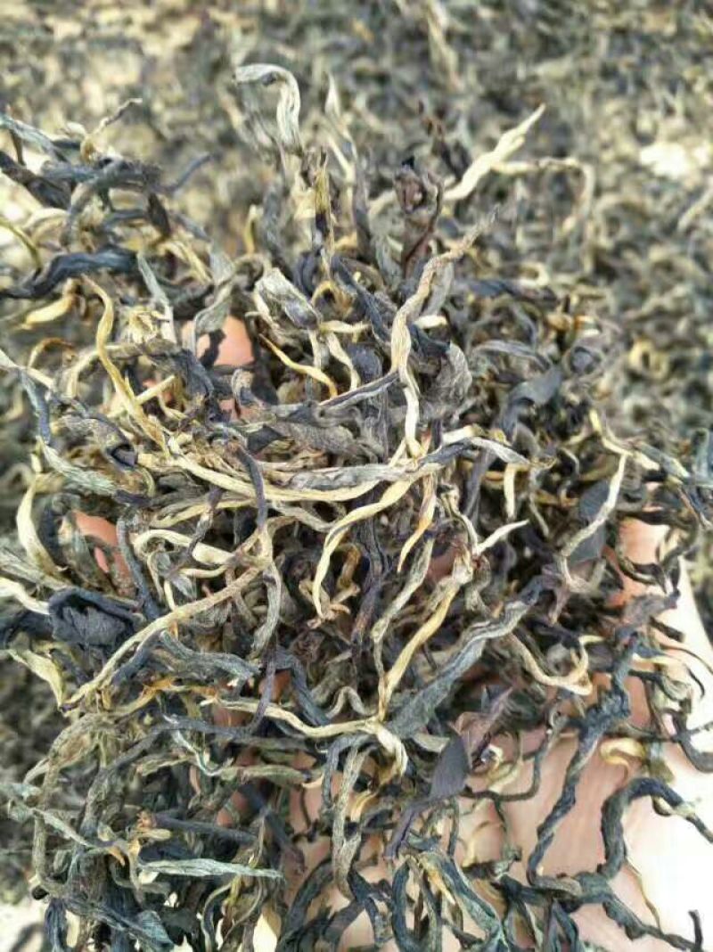 晒红茶一级