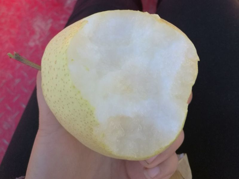 酥梨200~250g纸袋