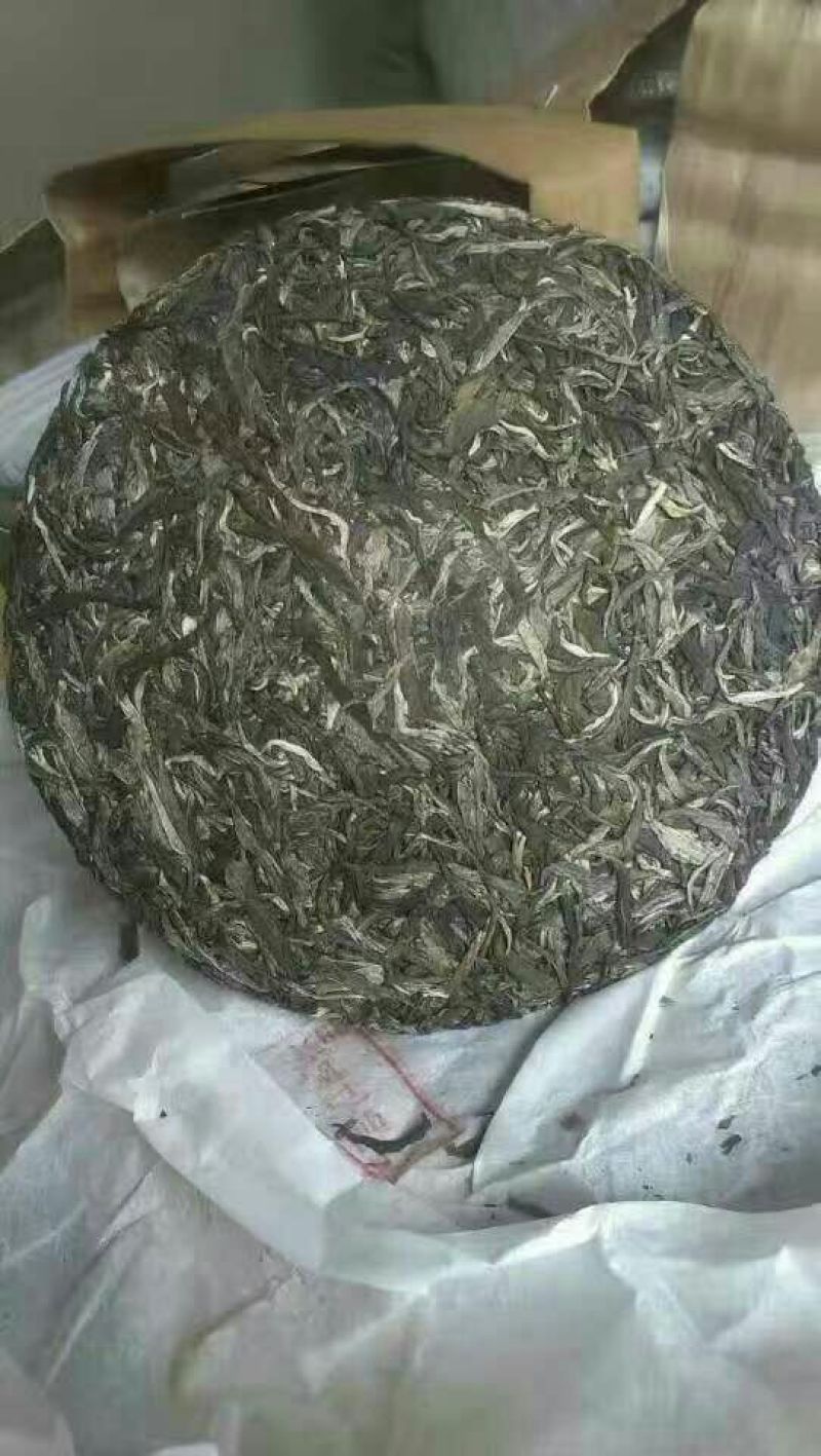 古树普洱茶一级