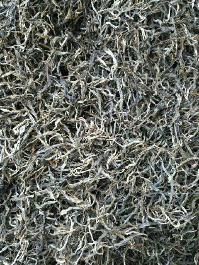 古树普洱茶一级