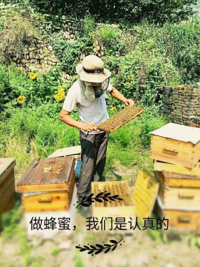 蜂蜜2斤