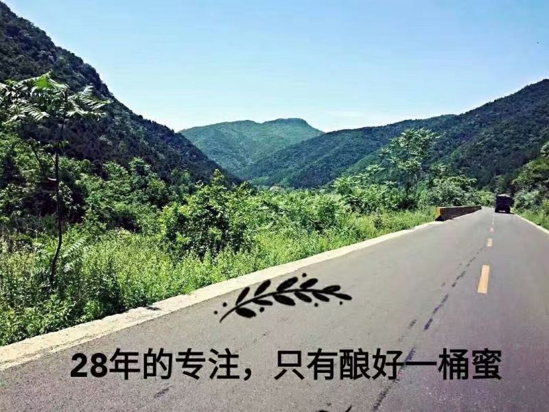 蜂蜜2斤