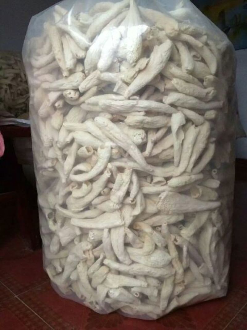 竹荪特级