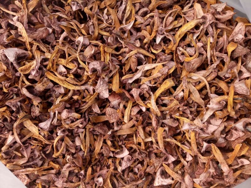 松树菌特级烤干条，块，串